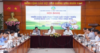 Việt Nam đứng thứ 6 thế giới về sản lượng thịt lợn