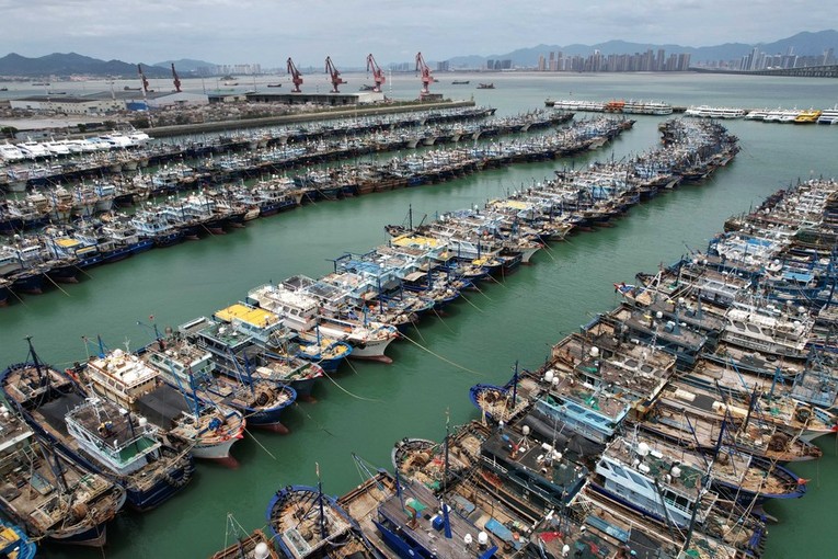 T&agrave;u thuyền neo đậu tại một bến t&agrave;u ở Hạ M&ocirc;n, ph&iacute;a đ&ocirc;ng tỉnh Ph&uacute;c Kiến, Trung Quốc, ng&agrave;y 27/7/2023. Ảnh: T&acirc;n Hoa X&atilde;