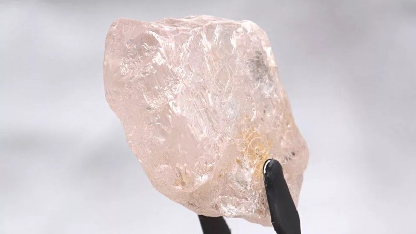 Vi&ecirc;n Lulo Rose 170 carat được ph&aacute;t hiện tại mỏ khai th&aacute;c Lulo của Angola. Ảnh: Lucapa Diamond Corp