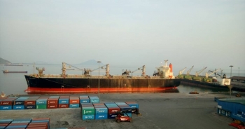 Mảng chăn nuôi khiến Mitraco thua lỗ, dự án cảng biển nghìn tỷ vẫn ì ạch