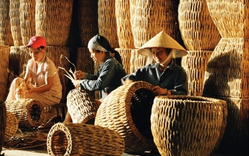 Xây dựng chuỗi ngành hàng tre để khai thác thị trường gần 83 tỷ USD
