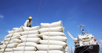 Gia nhập ASEAN giúp xuất khẩu Việt Nam đạt những cột mốc mới