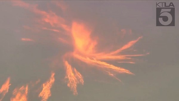 Video lốc xoáy lửa do cháy rừng tại California