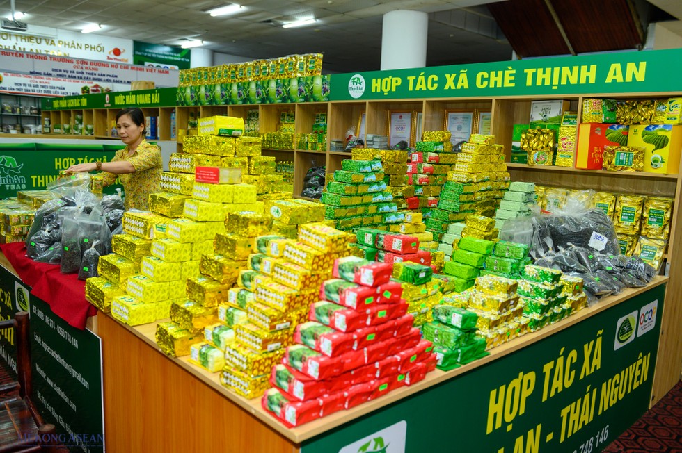 Đất ch&egrave; Th&aacute;i Nguy&ecirc;n.