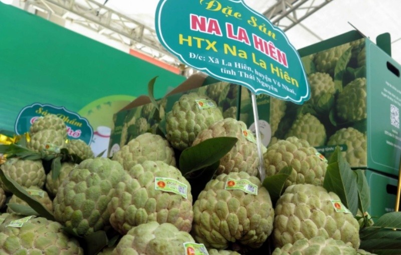 Đặc sản Na La Hi&ecirc;n của Th&aacute;i Nguy&ecirc;n.