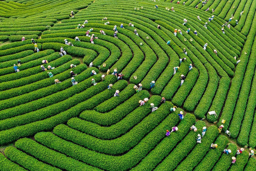 Ph&aacute;t triển V&ugrave;ng trung du v&agrave; miền n&uacute;i Bắc Bộ trở th&agrave;nh v&ugrave;ng ph&aacute;t triển xanh, bền vững v&agrave; to&agrave;n diện. Ảnh: Bộ VHTT&amp;amp;amp;DL.