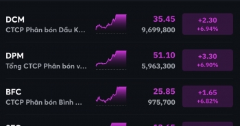 VN-Index tiếp tục đi lên trong nghi ngờ, nhiều mã phân bón đổ tím