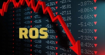 ROS: Từ ngôi sao sàn chứng khoán đến kết cục huỷ niêm yết