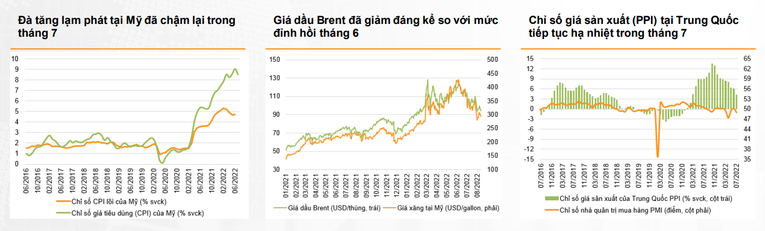 VNDirect: 'Vùng 1.240-1.260 điểm sẽ là hỗ trợ mạnh cho VN-Index trong tháng 9'