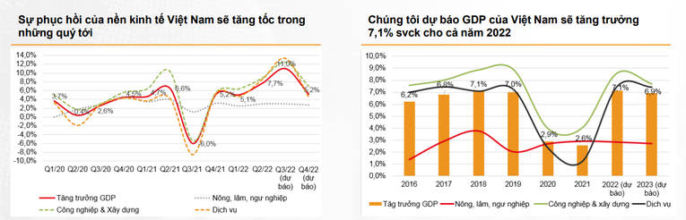 VNDirect: 'Vùng 1.240-1.260 điểm sẽ là hỗ trợ mạnh cho VN-Index trong tháng 9'