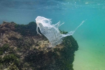 Nghiên cứu cho thấy lượng rác thải nhựa trên biển ít hơn dự đoán
