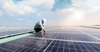 Yêu cầu EVN có giải pháp cho 14 dự án điện mặt trời hưởng giá sai