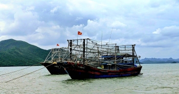 26 tỷ đồng đóng góp vào Quỹ hỗ trợ phát triển nghề cá Khánh Hoà