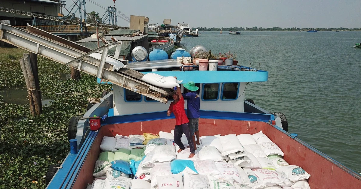 Bộ Công Thương ban hành chỉ thị mới về xuất khẩu gạo