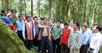 Thủ tướng: Liên kết ‘6 nhà’ để phát triển sâm Ngọc Linh