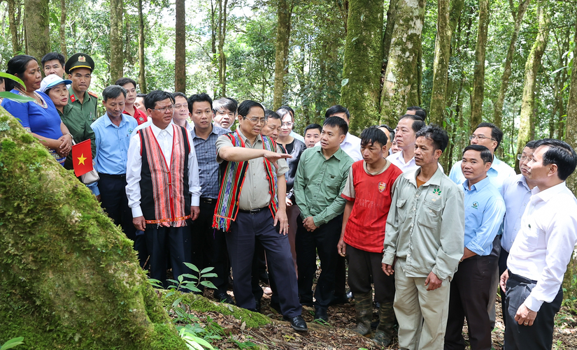 Thủ tướng khảo s&aacute;t tại vườn s&acirc;m Ngọc Linh, x&atilde; Ngọk L&acirc;y, huyện Tu Mơ R&ocirc;ng. Ảnh: VGP.