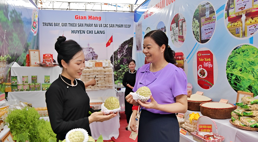 Gian trưng b&agrave;y na Chi Lăng tại chương tr&igrave;nh quảng b&aacute;, ti&ecirc;u thụ Na v&agrave; c&aacute;c sản phẩm OCOP huyện Chi Lăng. Ảnh: UBND Lạng Sơn.