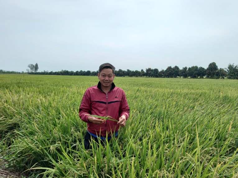 Anh Lưu Văn Đ&igrave;nh tr&uacute;ng m&ugrave;a bội thu khi đặt niềm tin v&agrave;o sản phẩm NPK Ph&uacute; Mỹ.