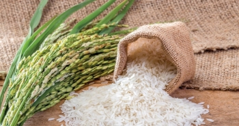 Giá gạo xuất khẩu của Việt Nam tiếp tục đạt mức cao nhất