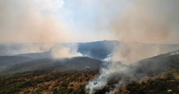 Cháy rừng tại Hy Lạp phá hủy khu vực rộng hơn thành phố New York