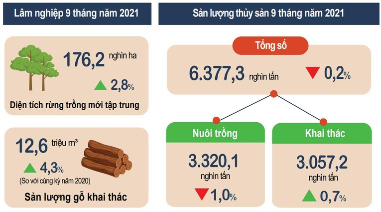 T&igrave;nh h&igrave;nh sản xuất l&acirc;m nghiệp trong nước Qu&yacute; III v&agrave; 9 th&aacute;ng năm 2021. (Ảnh: Tổng cục thống k&ecirc;)