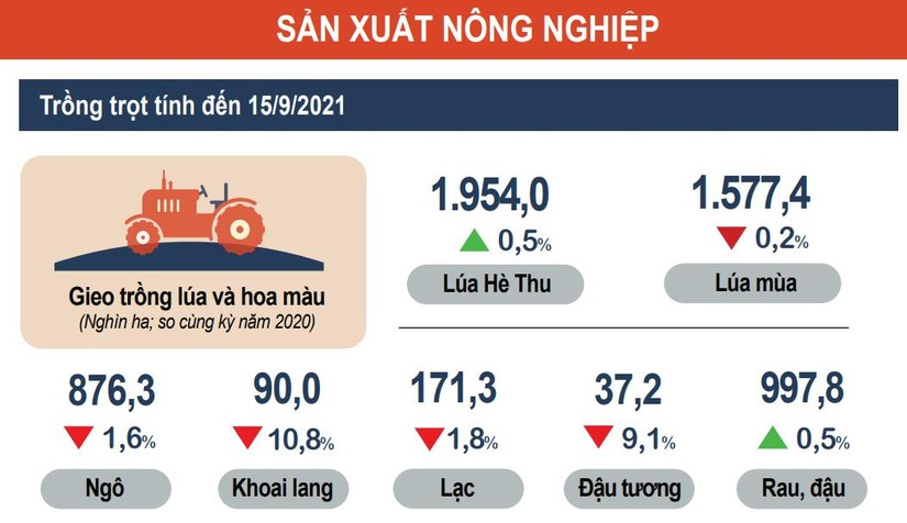 Sản xuất n&ocirc;ng, l&acirc;m nghiệp v&agrave; thủy sản 9 th&aacute;ng 2021