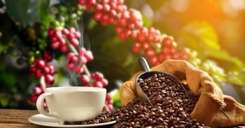 Xuất khẩu cà phê Việt Nam tăng trưởng tốt do khan hiếm nguồn cung