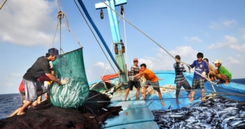 Phó Thủ tướng Lê Văn Thành: 'Gỡ thẻ vàng IUU trước hết vì bà con ngư dân'