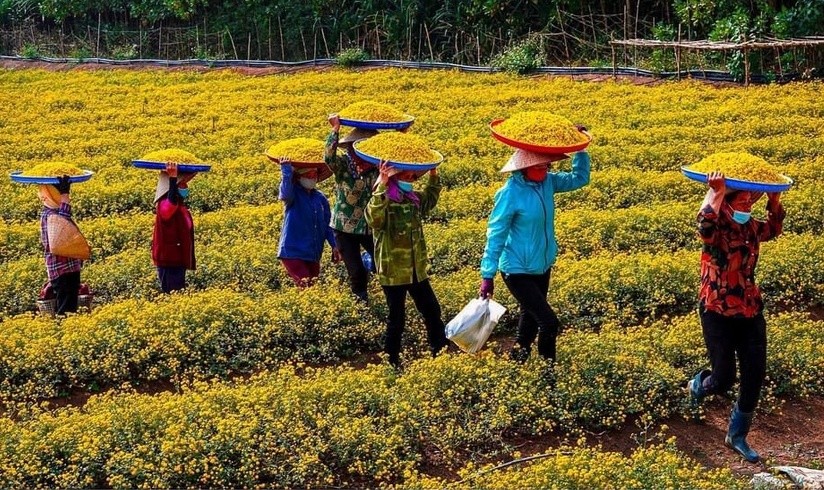 Diễn đ&agrave;n Kinh tế hợp t&aacute;c, hợp t&aacute;c x&atilde; năm 2022 sẽ diễn ra v&agrave;o ng&agrave;y 23/9.