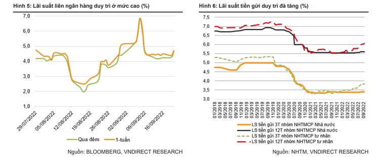 VNDirect: Áp lực lên tỷ giá tăng, VND có thể mất giá 4% so với USD năm nay