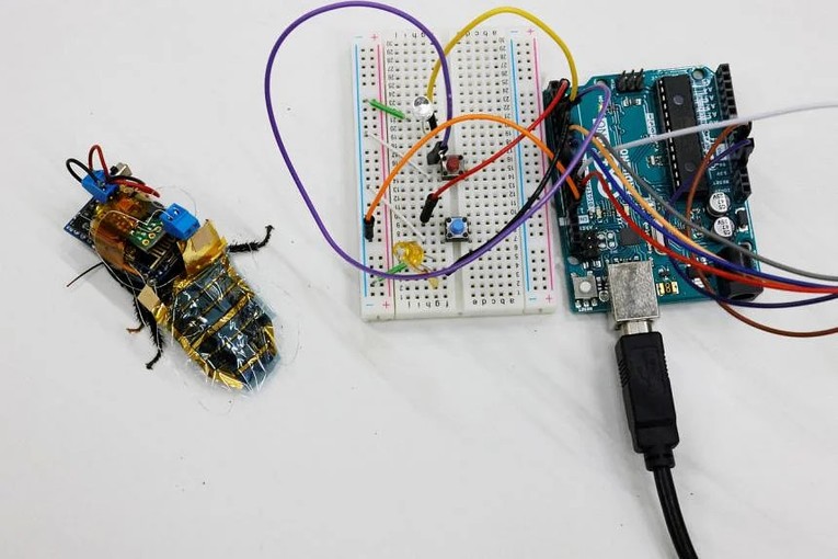 Gi&aacute;n cyborg sẽ được sử dụng để t&igrave;m kiếm vị tr&iacute; nạn nh&acirc;n trong c&aacute;c thảm họa một c&aacute;ch hiệu quả hơn robot. Ảnh: Reuters