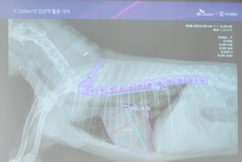 SK Telecom của Hàn Quốc ứng dụng AI chẩn đoán bệnh cho chó cưng