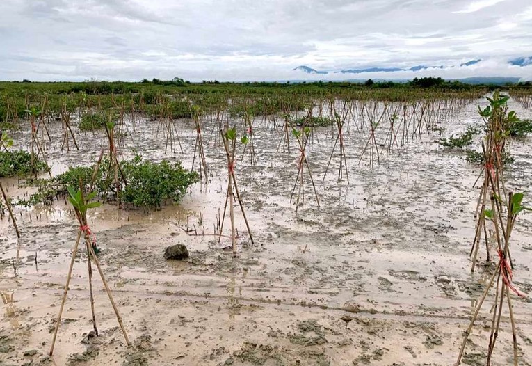 Ảnh minh họa: Dự &aacute;n FMCR được thực hiện ở 8 tỉnh, th&agrave;nh phố, bao gồm Quảng Ninh, Hải Ph&ograve;ng, Thanh H&oacute;a, Nghệ An, H&agrave; Tĩnh, Quảng B&igrave;nh, Quảng Trị v&agrave; Thừa Thi&ecirc;n Huế.