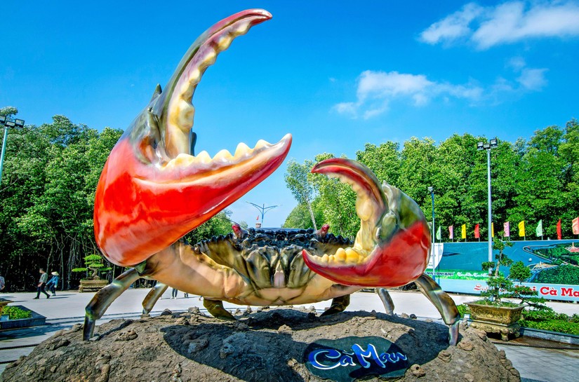 C&agrave; Mau phấn đấu xuất khẩu 30 - 35% sản lượng cua nu&ocirc;i trong tỉnh. Ảnh: Cổng th&ocirc;ng tin Du lịch C&agrave; Mau