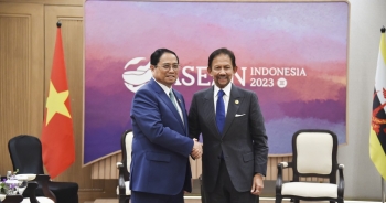 Đề nghị Việt Nam - Brunei hợp tác phát triển ngành dầu khí, hoá chất