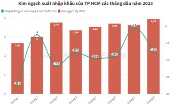 Xuất khẩu của TP HCM 8 tháng đầu năm kém lạc quan