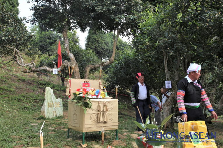 Lễ c&uacute;ng được tiến h&agrave;nh dưới gốc c&acirc;y ch&egrave; tổ.