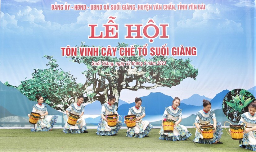 Độc đ&aacute;o lễ c&uacute;ng c&acirc;y ch&egrave; tổ của người M&ocirc;ng Suối Gi&agrave;ng, Y&ecirc;n B&aacute;i