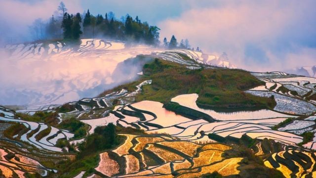 Ruộng bậc thang ở tỉnh Yunnan, Trung Quốc c&oacute; 1 triệu ha, trong đ&oacute; hơn 16.600 ha đ&atilde; được UNESCO c&ocirc;ng nhận l&agrave; di sản thế giới. Những mảng nước trong ruộng tạo th&agrave;nh những chiếc gương đa chiều, trong suốt khi nh&igrave;n từ tr&ecirc;n cao xuống.