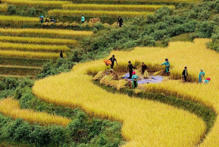 Đề xuất cho người thu nhập thấp thụ hưởng chương trình giảm nghèo