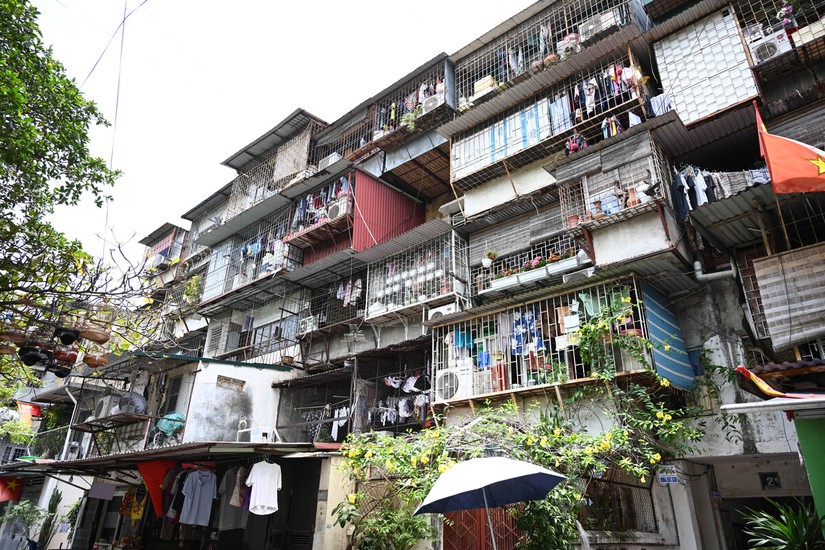 Ảnh minh họa: Qu&aacute;ch Sơn.