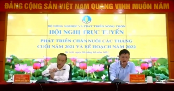 Ngành chăn nuôi hướng tới mục tiêu: Việt Nam trở thành “cái bếp” của thế giới