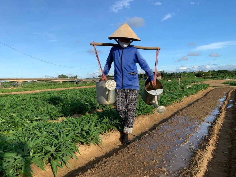Chiến lược ph&aacute;t triển n&ocirc;ng nghiệp, n&ocirc;ng th&ocirc;n bền vững đến năm 2030. Ảnh: Internet