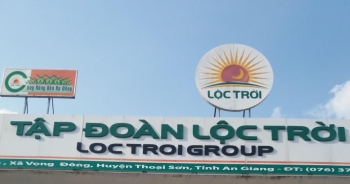 Lộc Trời (LTG) chốt ngày trả cổ tức bằng tiền mặt 20%