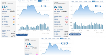 Ôm trái đắng với các cổ phiếu &apos;thiên thời&apos; ngành bất động sản