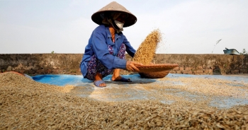 Tập đoàn 150 năm tuổi của Thụy Sỹ muốn giúp Việt Nam hạn chế hao hụt gạo