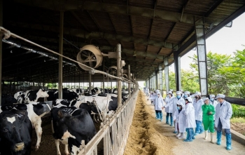 Muốn đảm bảo tiêu chuẩn xuất khẩu sẽ phải quan tâm tới 'phúc lợi động vật'