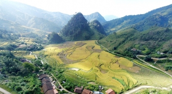 Cao Bằng: Rực rỡ mùa lúa vàng tại xóm cổ Hoài Khao