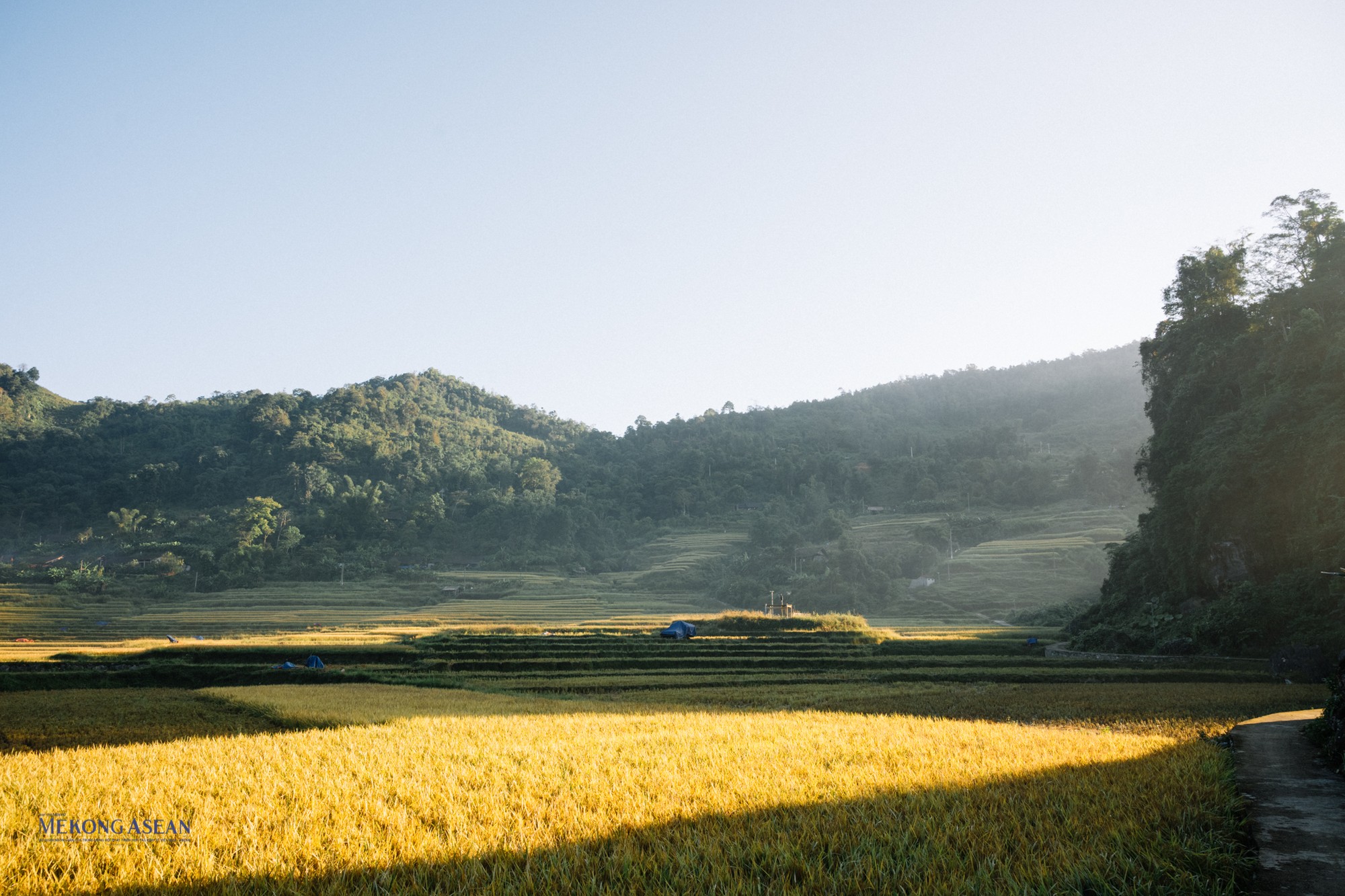 Cao Bằng: Rực rỡ mùa lúa vàng tại xóm cổ Hoài Khao