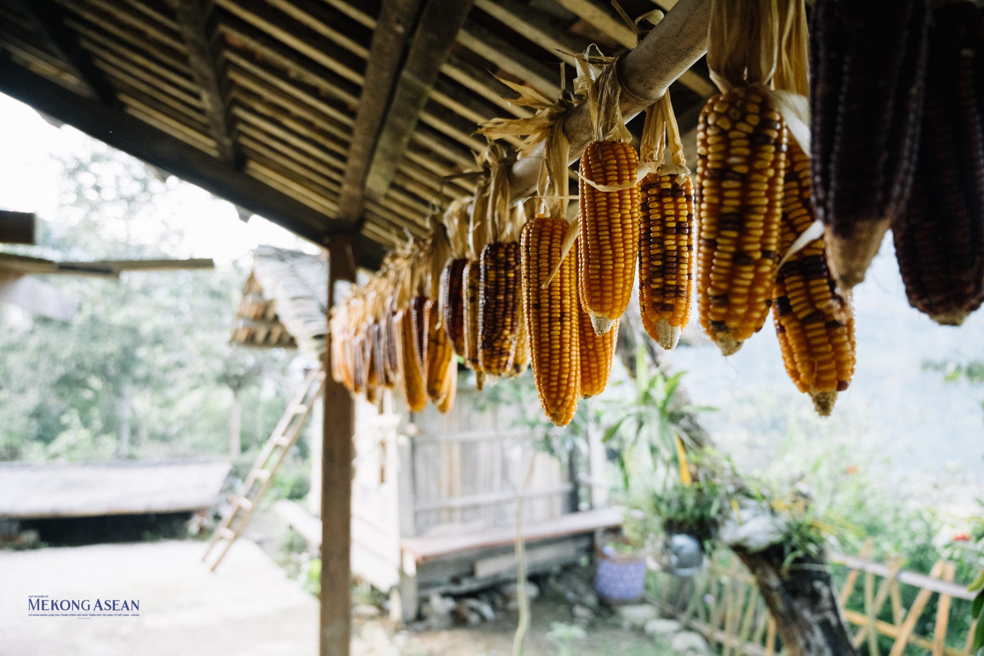 Tại Ho&agrave;i Khao, nhiều ng&ocirc;i nh&agrave; l&agrave;m bằng gỗ n&eacute;p m&igrave;nh b&ecirc;n sườn n&uacute;i, m&aacute;i lợp bằng ng&oacute;i &acirc;m dương truyền thống, tạo n&ecirc;n vẻ đẹp bản sắc d&acirc;n tộc. Mỗi gia đ&igrave;nh ở Ho&agrave;i Khao c&oacute; một kho chứa th&oacute;c l&agrave;m bằng gỗ t&aacute;ch biệt với nh&agrave; ch&iacute;nh, ph&ograve;ng khi xảy ra hỏa hoạn th&igrave; kho chứa th&oacute;c vẫn an to&agrave;n.